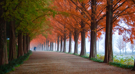 Thoughts on Autumn, Changing Seasons and E-Procurement