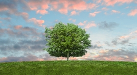 Celebrate Earth Day and Arbor Day by making your purchasing process paperless!