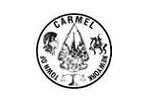 Organization logo of Town of Carmel
