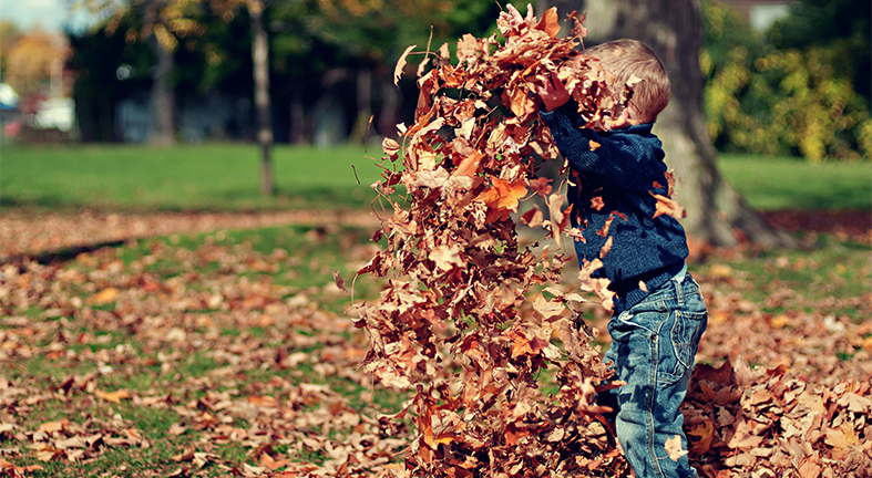 Prepare Your Business for Fall and Winter Bidding Opportunities