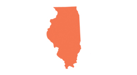 Improving Public Procurement in Illinois: The Illinois Purchasing Group