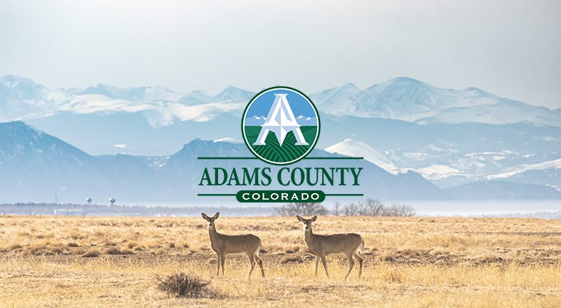 Finding Adams County Bid Opportunities on Bidnet Direct