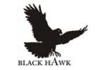 Organization logo of City of Black Hawk