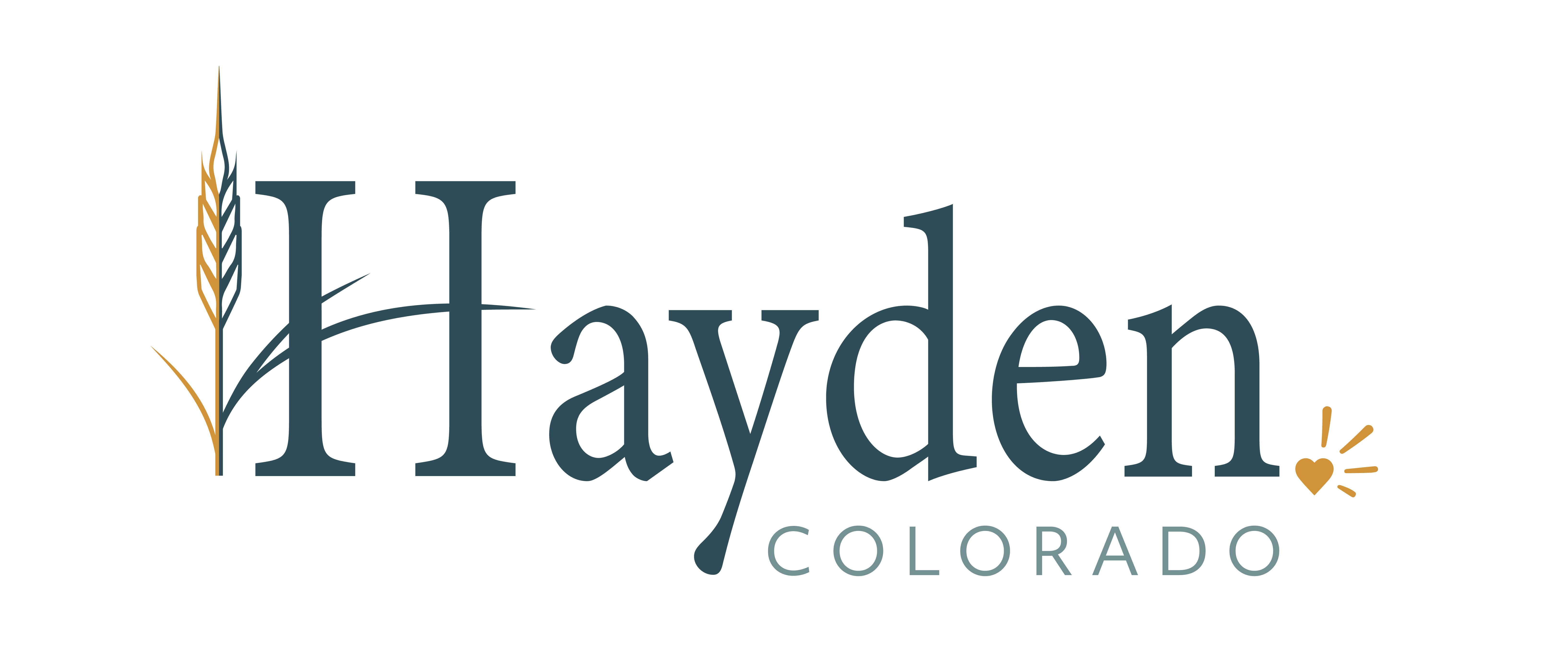 Organization logo of Town of Hayden
