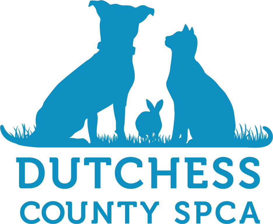 Organization logo of Dutchess County SPCA