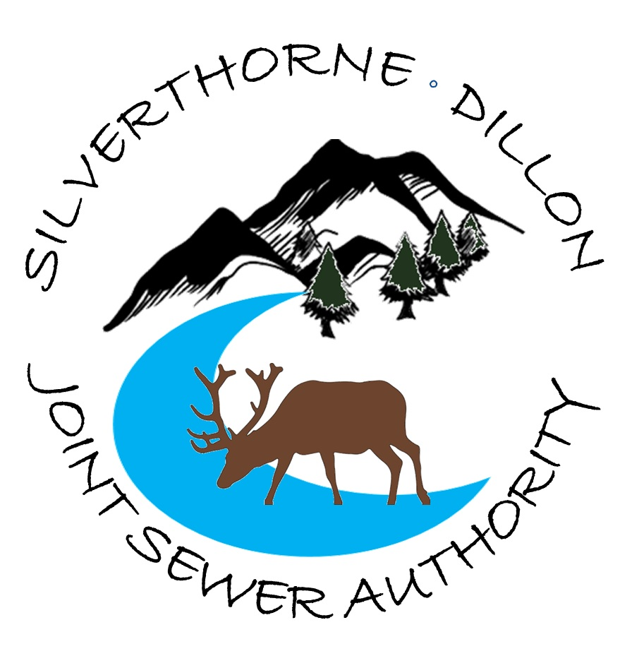 Organization logo of Silverthorne/Dillon JSA
