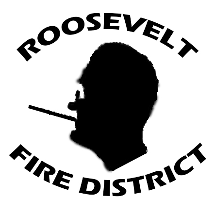 Organization logo of Roosevelt Fire District Hyde Park